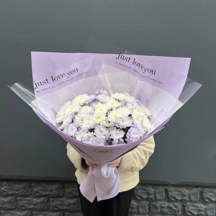 9 воздушных хризантем в Брянске