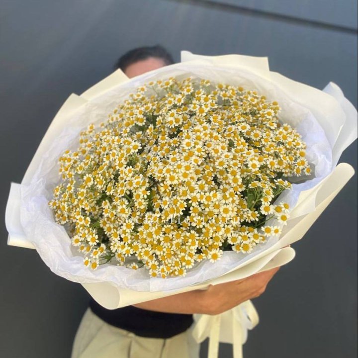 Букет ромашек №2 в Брянске