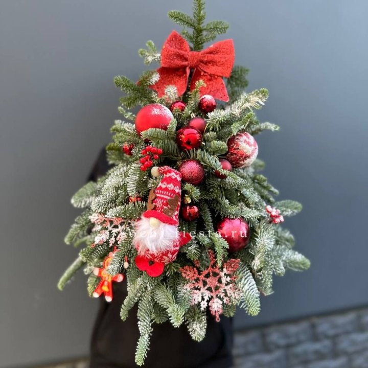 Новогодняя елочка "Ред" в Брянске