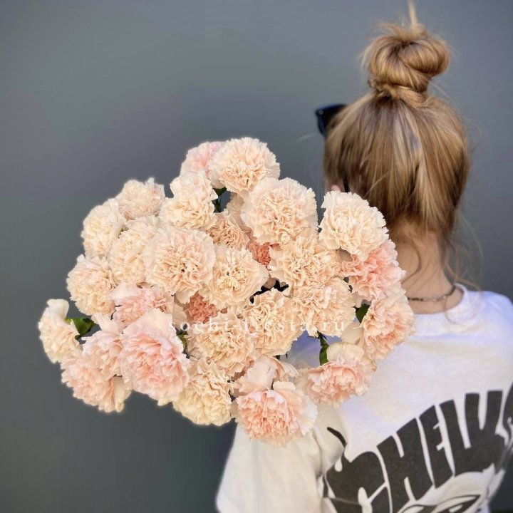 Охапка диантусов  в Брянске