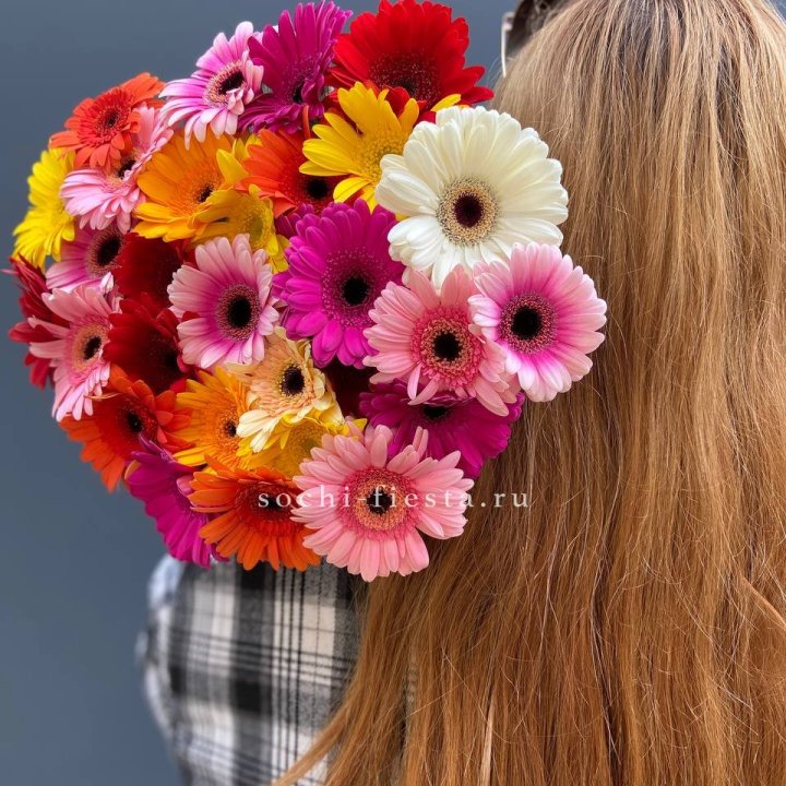 Охапка гербер  в Брянске