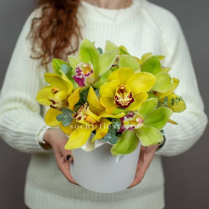 Бокс с орхидей №1 в Брянске