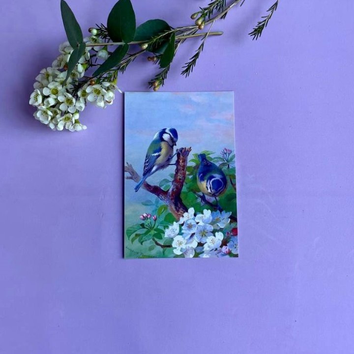 Открытка к букету "Птицы" в Брянске