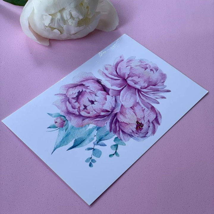 Открытка к букету "Пионы" в Брянске