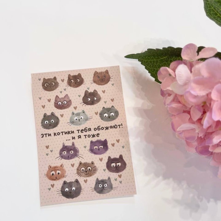 Открытка к букету "Котики" в Брянске