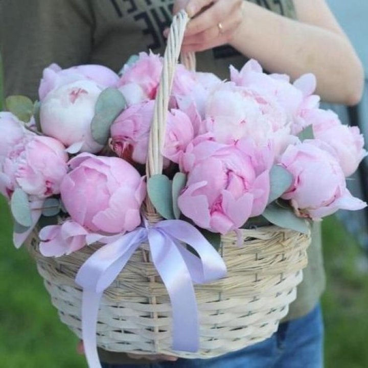 15 пионов в корзине в Брянске