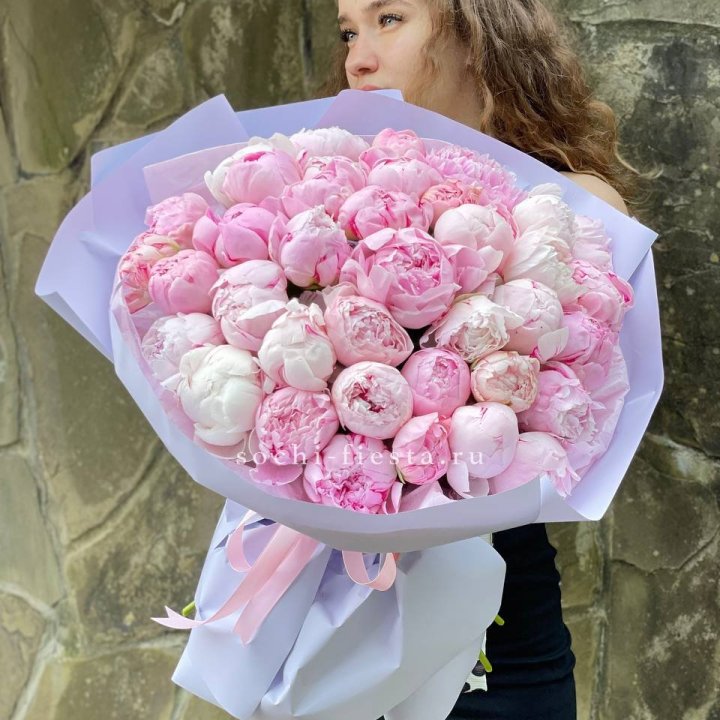 39 нежных пионов в Брянске