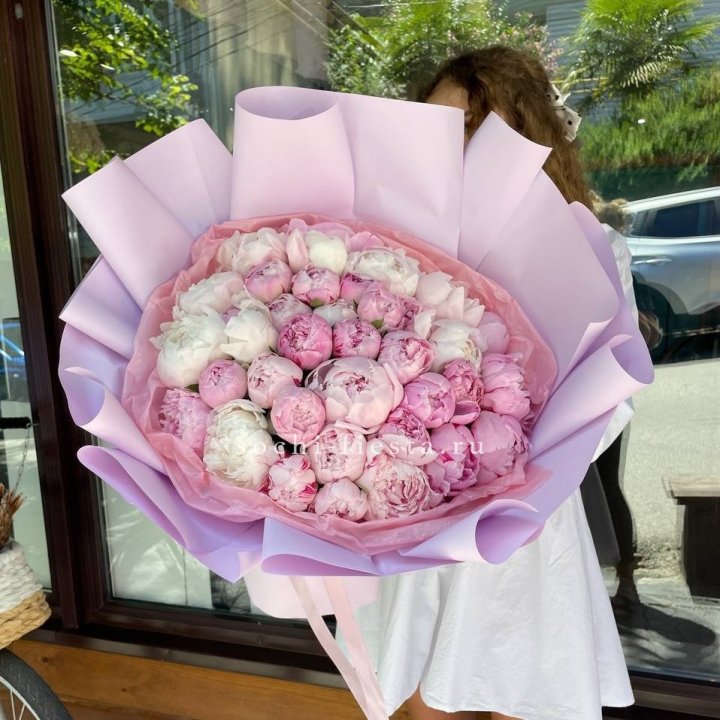 51 розовый пион в Брянске