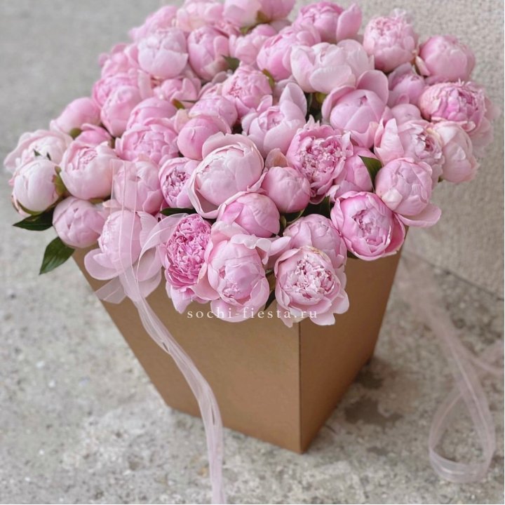 49 пионов в крафт коробке в Брянске