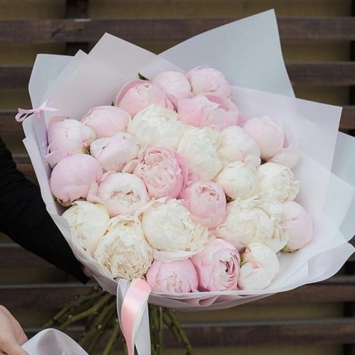 29 пионов в Брянске