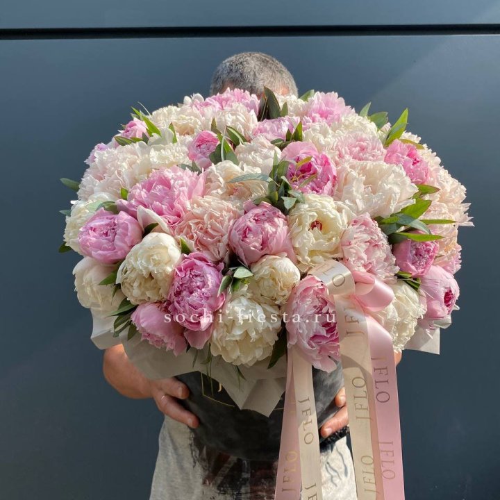 51 пионов в боксе в Брянске