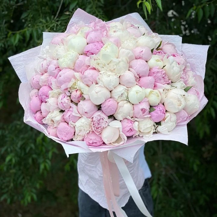 101 пион в Брянске