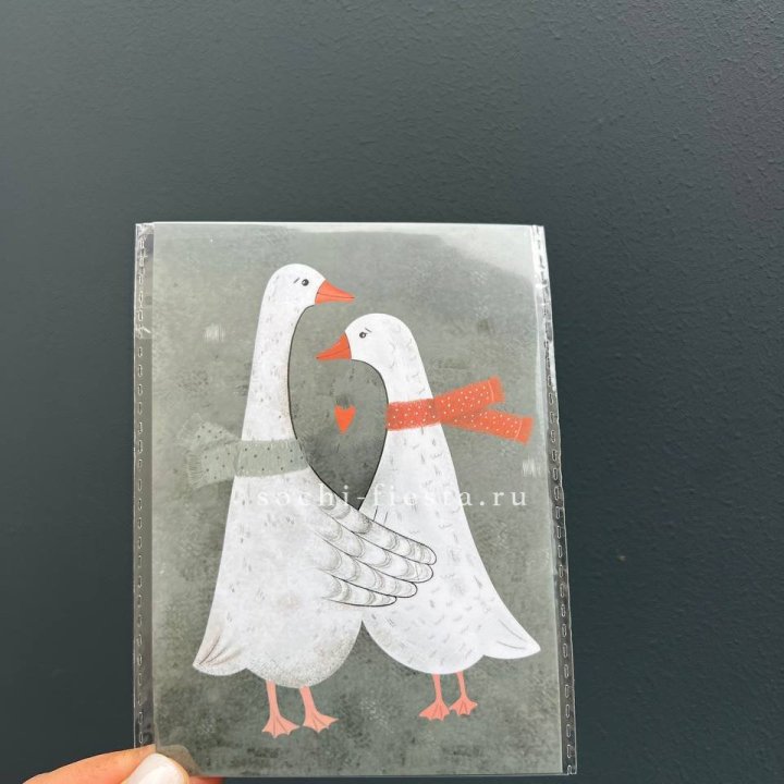 Открытка к букету "Гуси” в Брянске