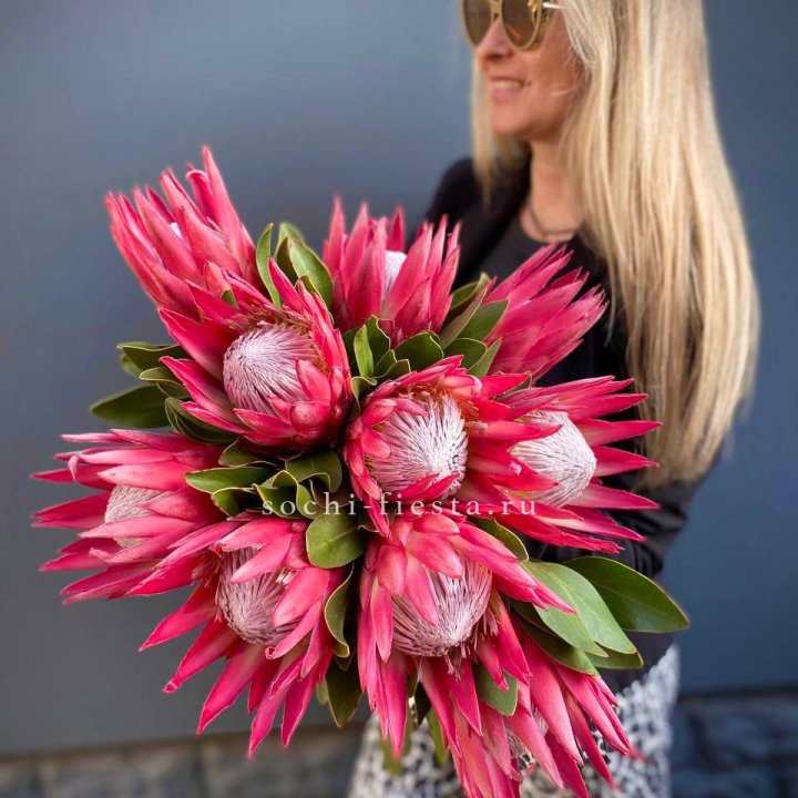 Протея штучно в Брянске