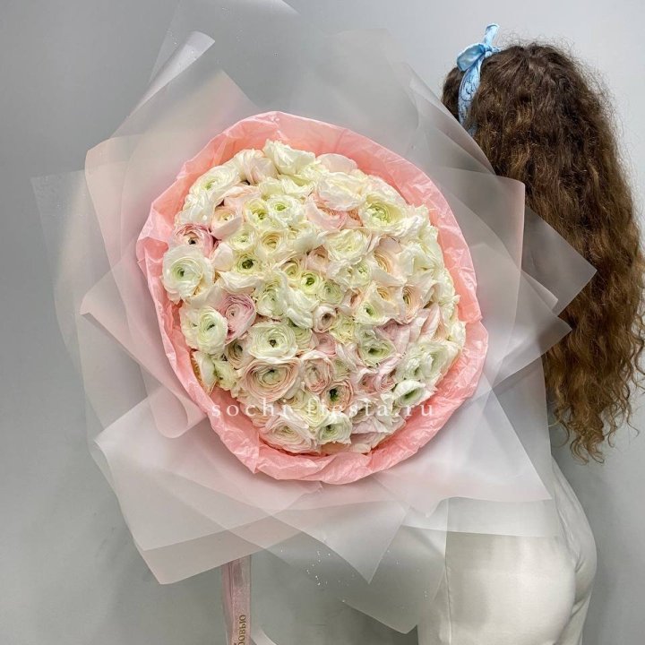 113 ранункулюсов  в Брянске