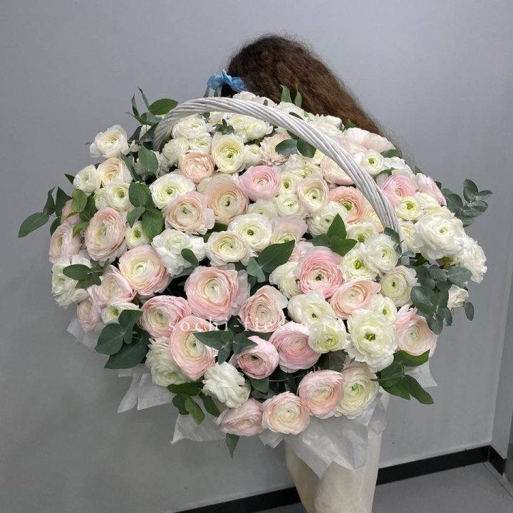 Ранункулюсы в корзине в Брянске