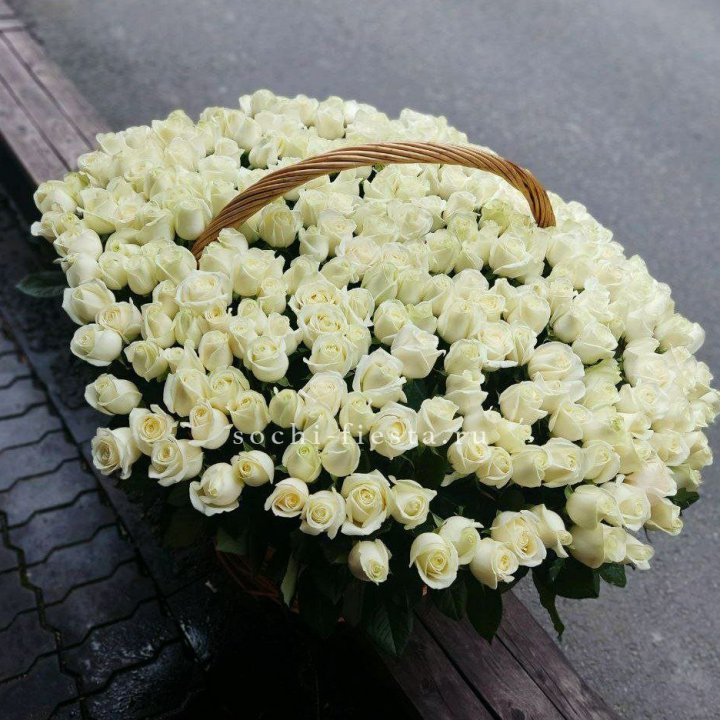 303 розы в корзине в Брянске