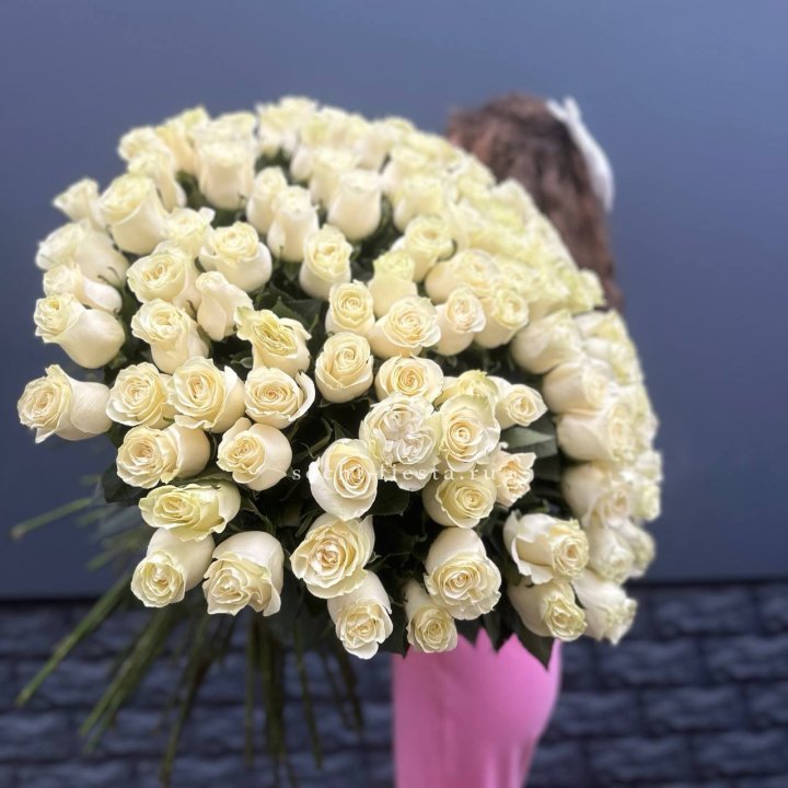 101 белая высокая импортная роза под ленту в Брянске