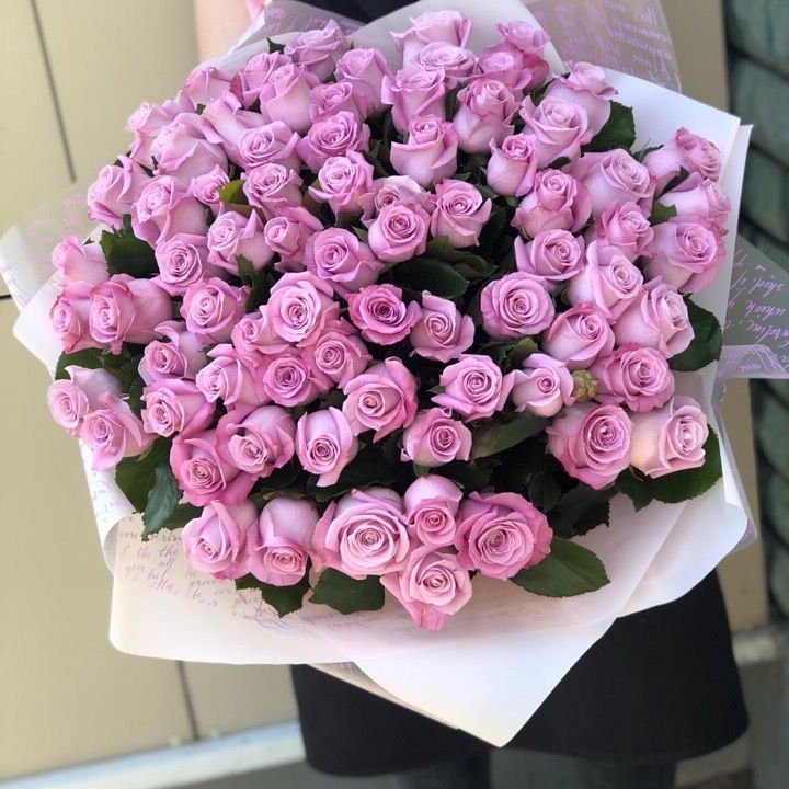 71 розовая роза "Маритим" в Брянске