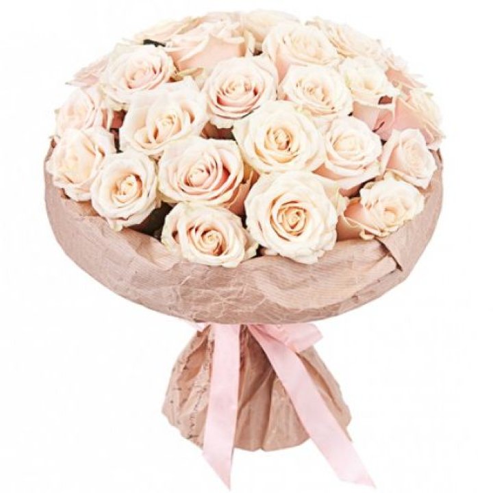 25 кремовых роз "Craft" в Брянске