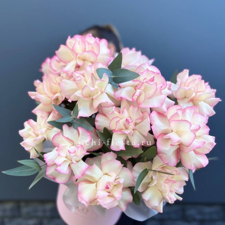 15 Французских роз Джумилия в боксе в Брянске