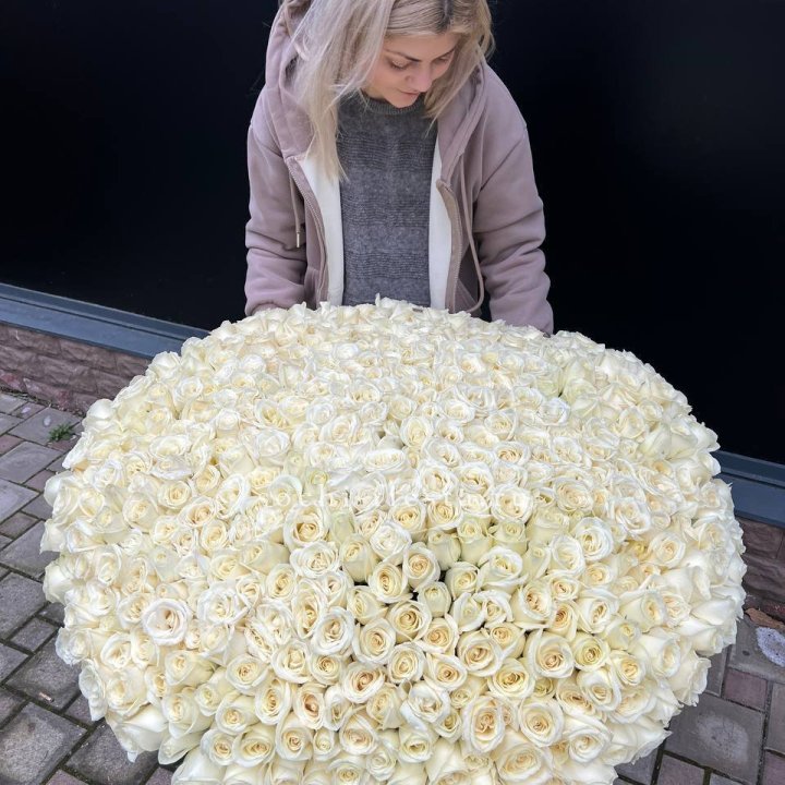 501 белая роза в корзине в Брянске