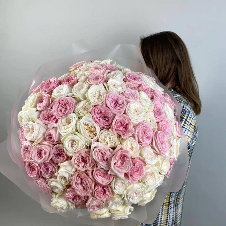 101 роз Охара в Брянске