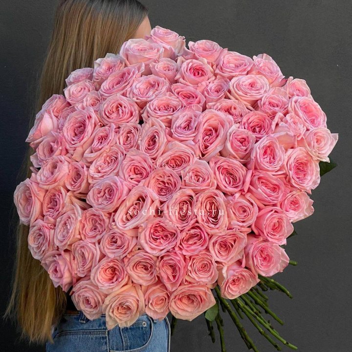 75 роз Охара в Брянске