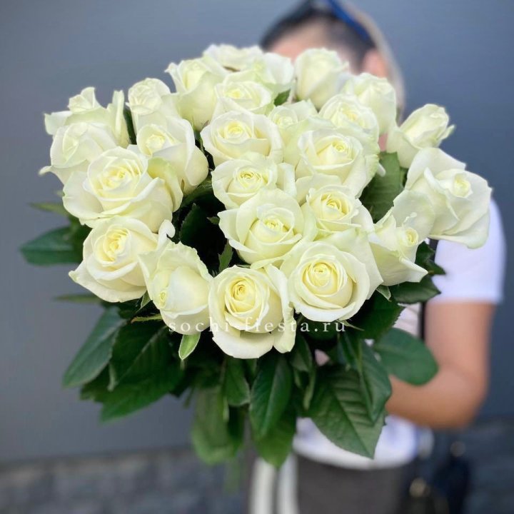 Голландские розы белые 25 в Брянске