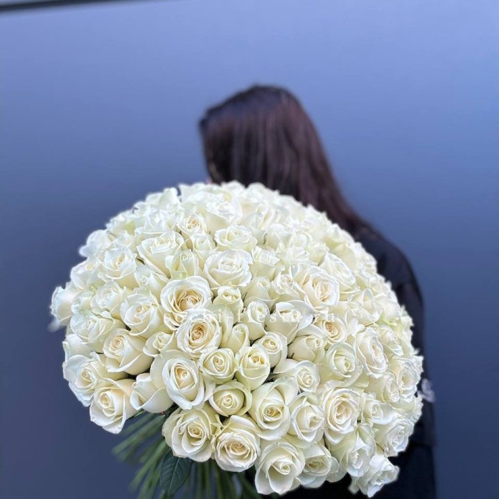 Охапка из 101 белой розы  в Брянске