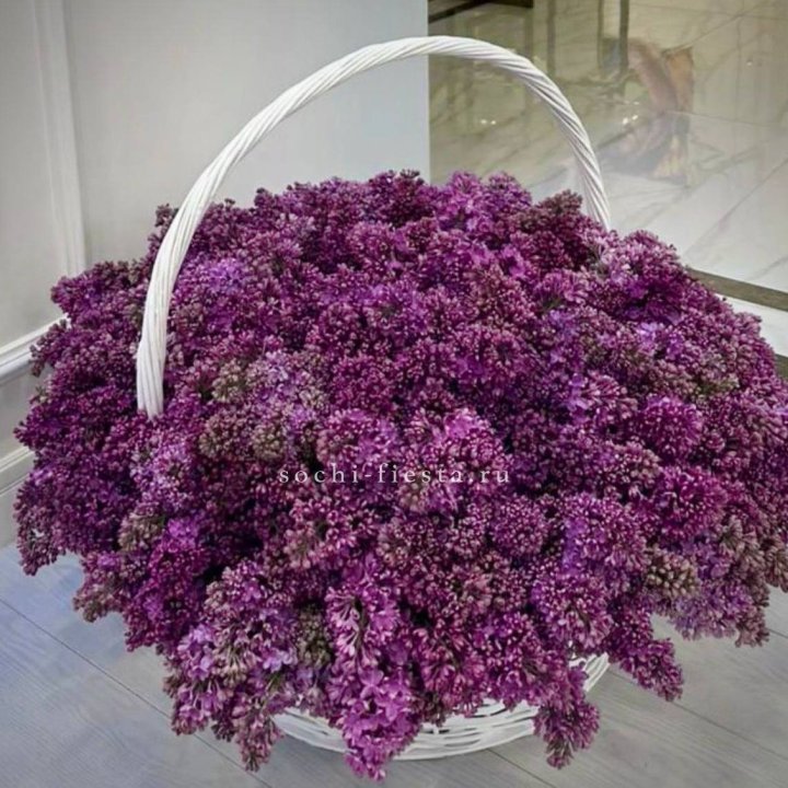 Корзина сирени в Брянске
