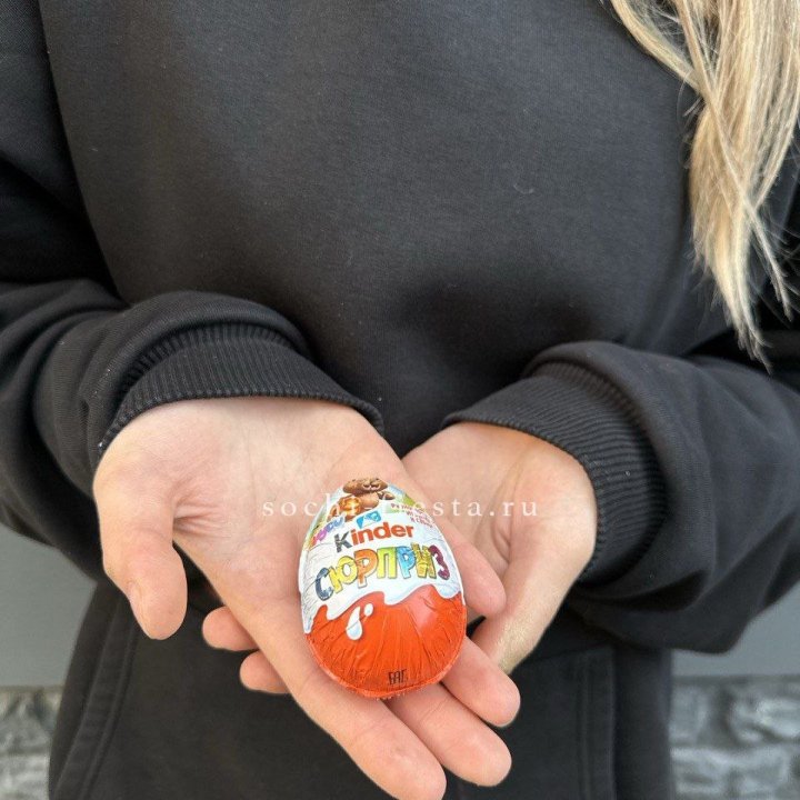 Яйцо "Киндер Сюрприз" в Брянске