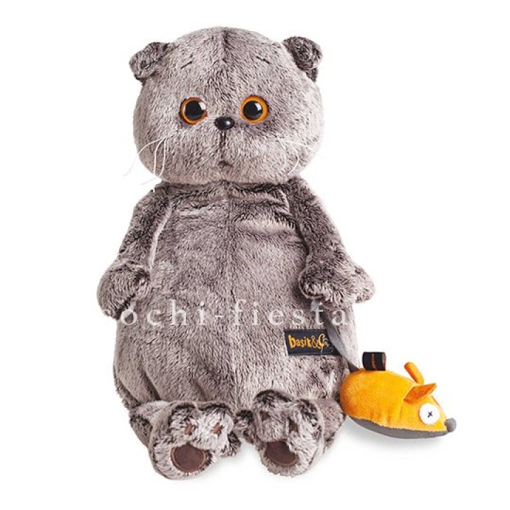 Кот Басик с мышкой в Брянске