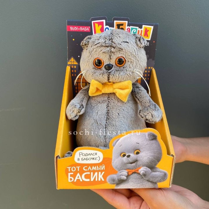 Кот Басик с бабочкой в Брянске