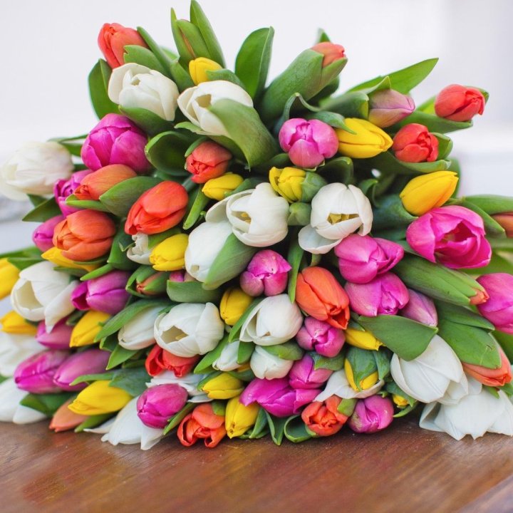 79 тюльпанов "Рандом" в Брянске
