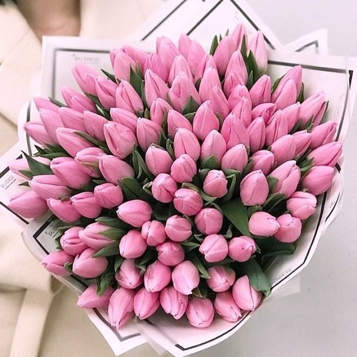 101 розовый тюльпан в белом в Брянске