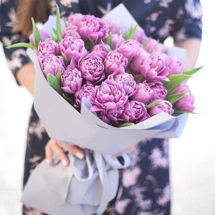 Тюльпаны "Пионс" в Брянске