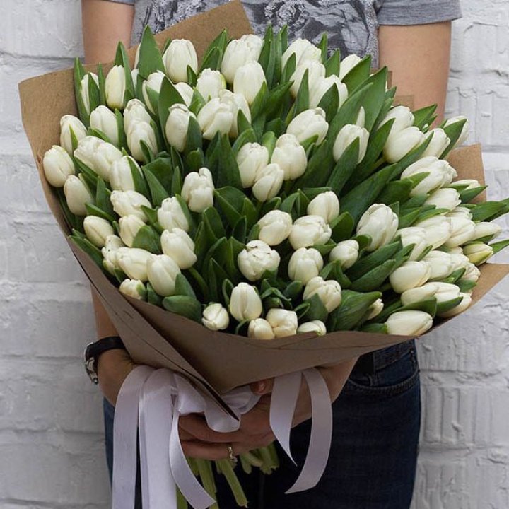 101 тюльпан сноу в Брянске