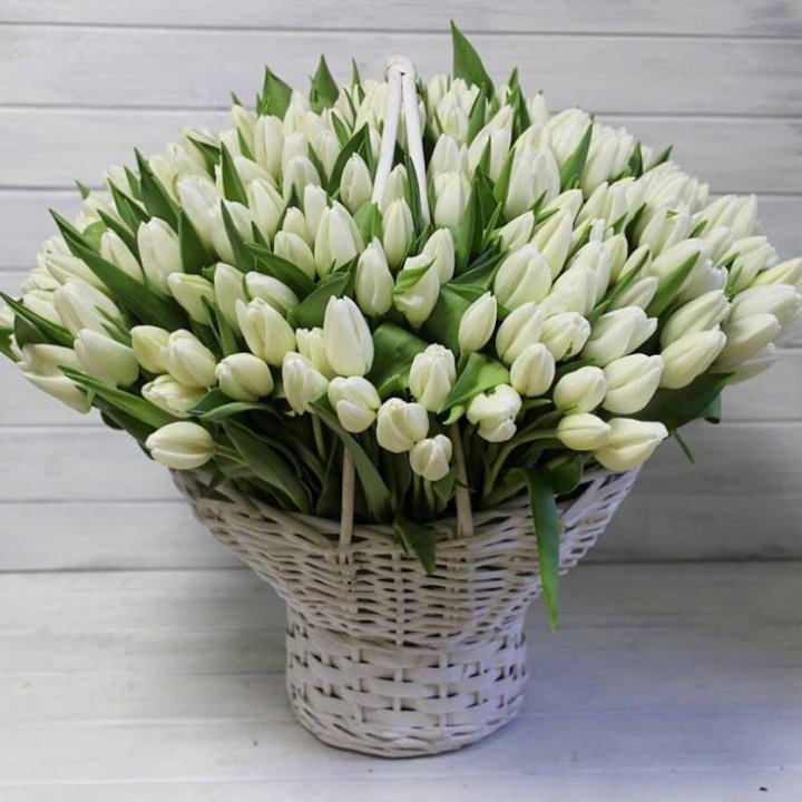 Корзина из 151 тюльпана в Брянске