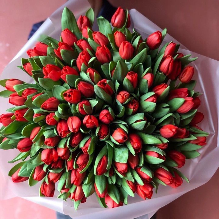 101 красный тюльпан в Брянске